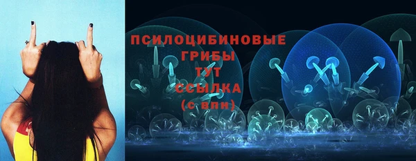 МДПВ Пролетарск