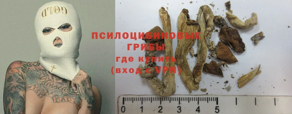МДПВ Пролетарск