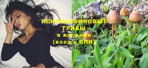МДПВ Пролетарск