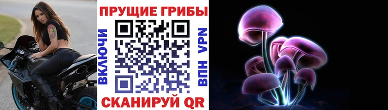 Галлюциногенные грибы мицелий  Томмот 